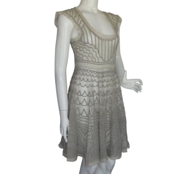 BIYA/Johnny Was Dress, S, Beige/Nude Mesh, Embroidered, SHEER, Cap shoulder - Picture 3 of 12